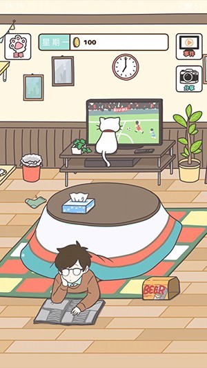 猫咪饲养日常新手攻略