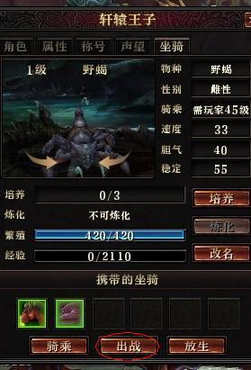 道士的操作流程，在前期需要注意哪些？