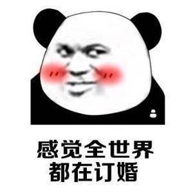 感觉全世界都在订婚表情包